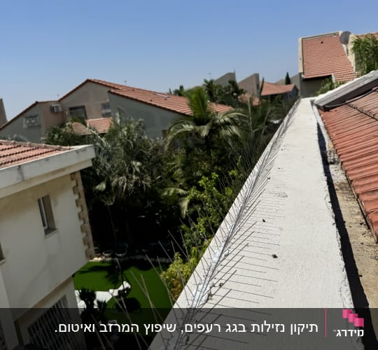 דוקרנים על גג למניעת ציפורים